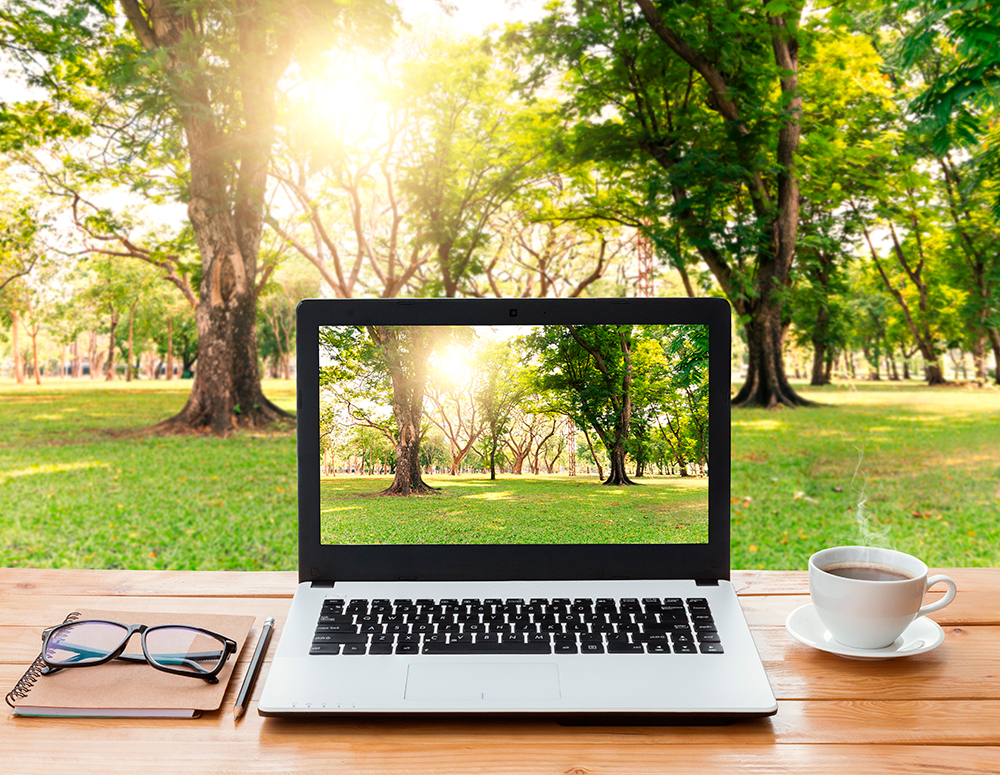 Grünes Webhosting Bildschirm in der Natur